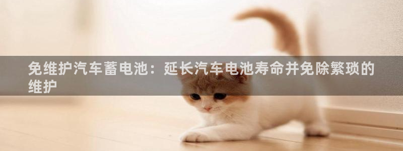 优发国际官网是多少