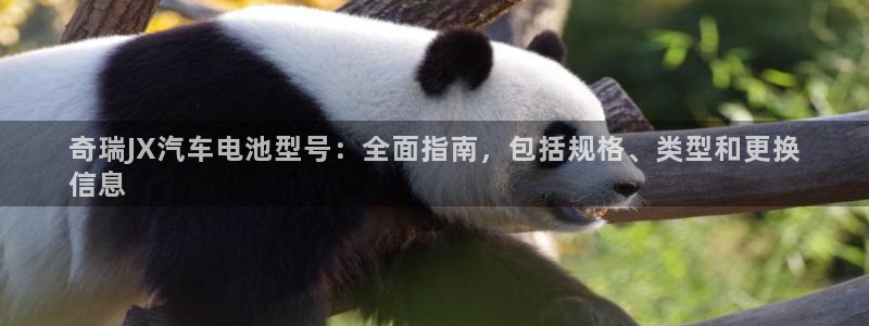 优发国际安卓版下载安装最新版