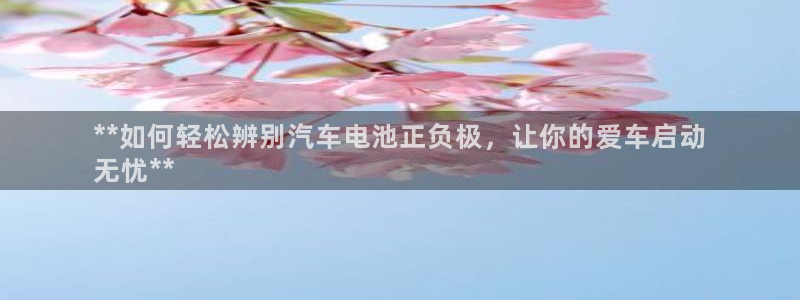 优发国际游戏n