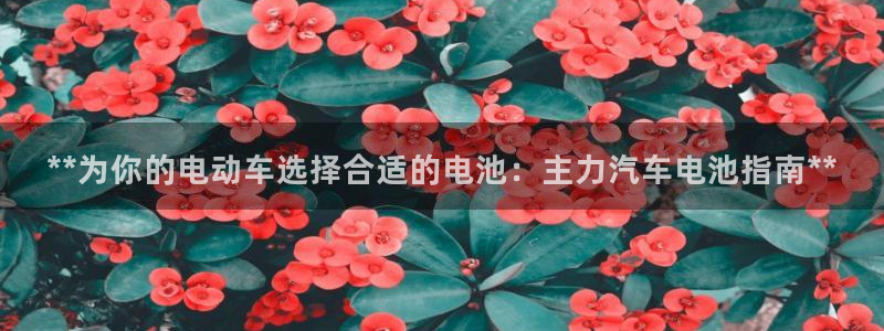 优发国际手机版客户端下载
