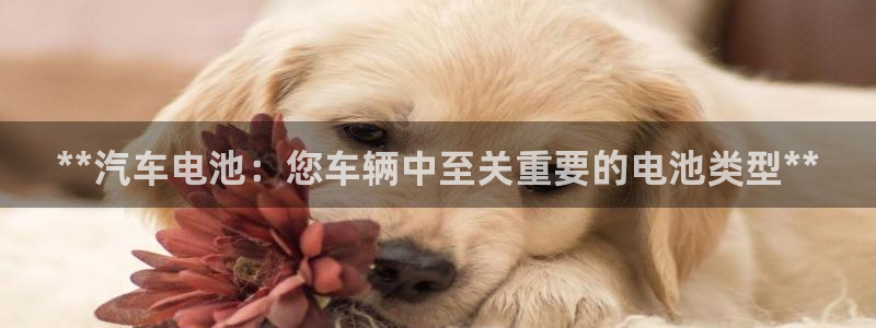 优发国际官方网