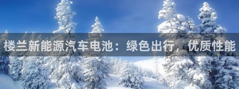 优发国际是什么