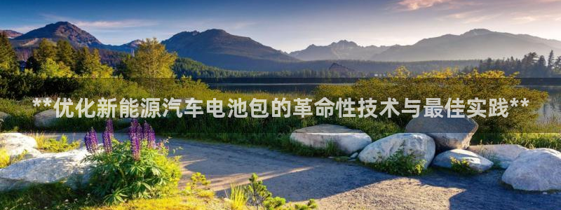 优发国际不出款怎么办
