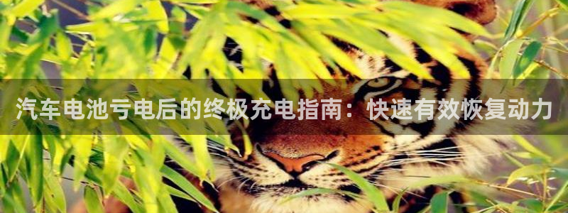 优发国际官网手机版下载苹果