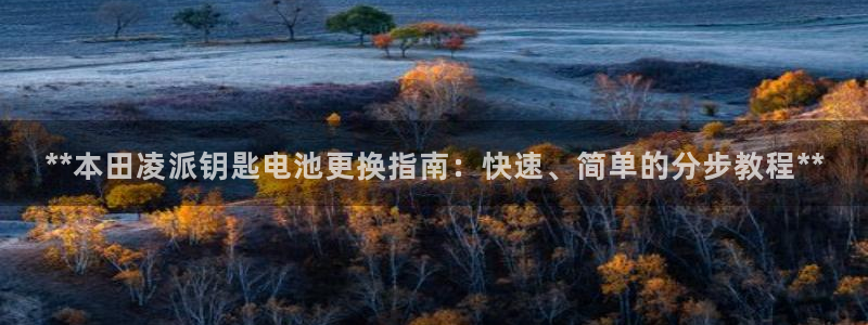 优发国际网站多少