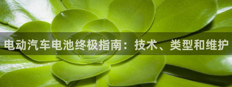 优发国际官网下载苹果版