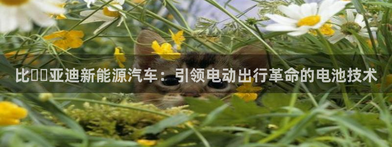 优发国际在哪里下载