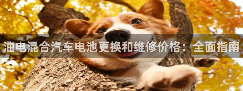 优发国际官网是多少号码