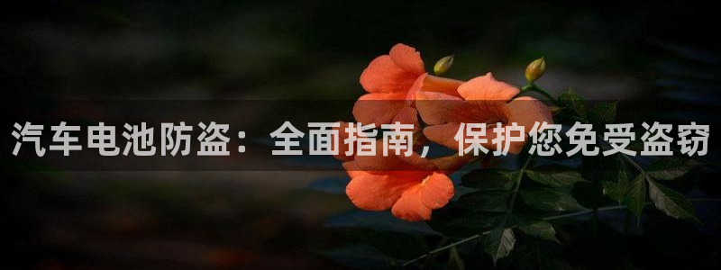 优发国际顶级