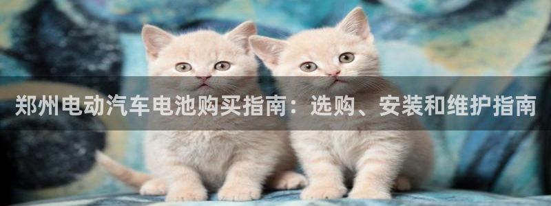 优发国际平台g8怎么样