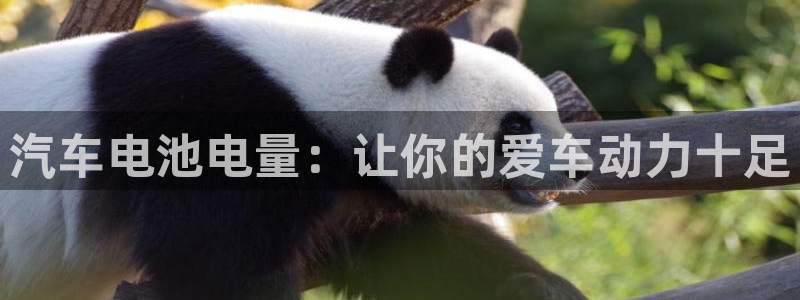 优发国际官网下载