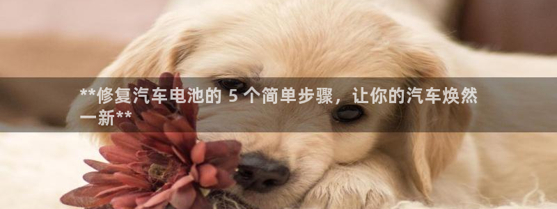 优发国际提现不了