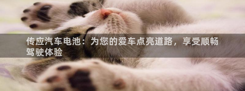 优发国际官网首页入口