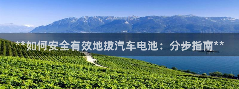 优发国际客服联系方式查询