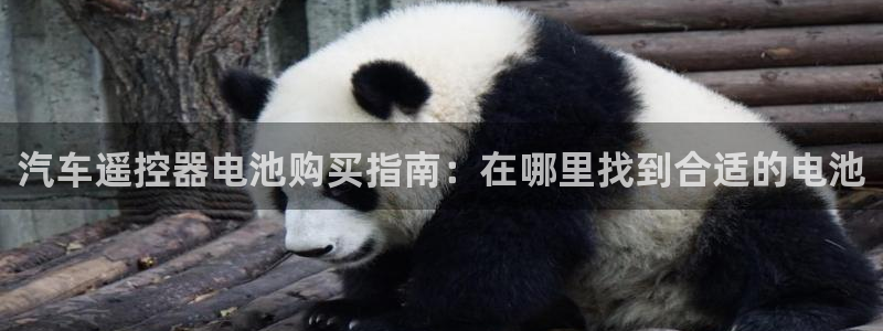 优发国际官方网手机版入口