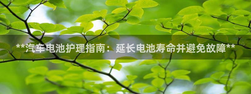 优发国际官方网手机版下载安卓