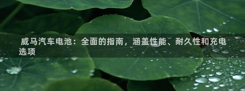 优发国际电话