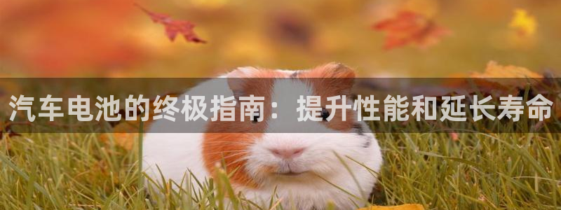 优发国际网站官网