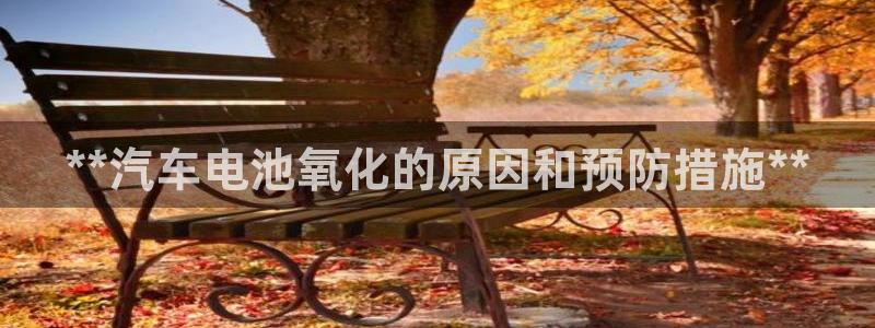 优发国际平台网站