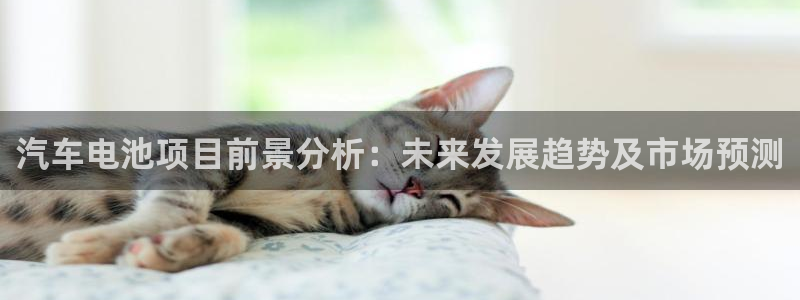 优发国际是大平台吗