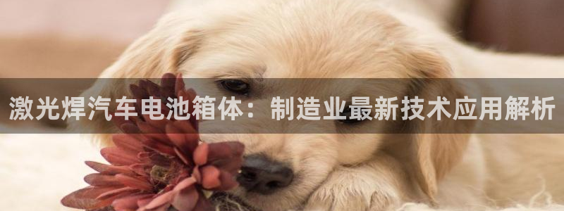 优发国际手机客户端怎么下载