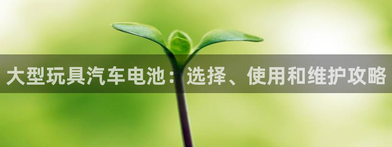 优发国际VIP网址