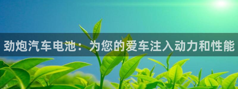 优发国际平台u8是什么软件