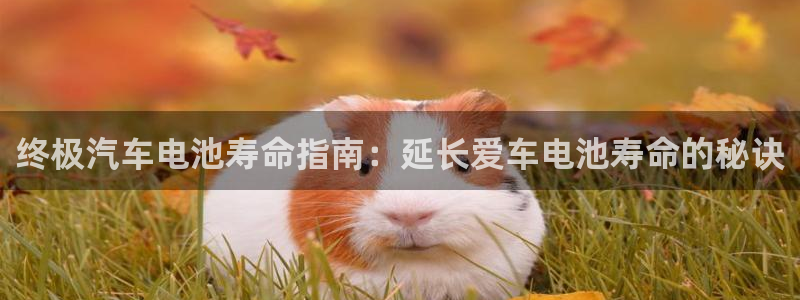 优发国际官网网站首页
