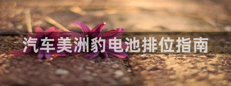 优发国际的官网是