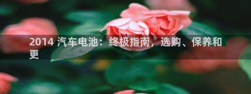 优发娱乐国际线上