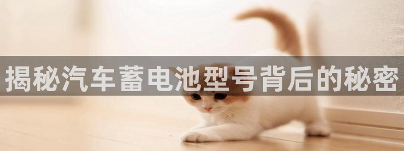 优发国际官网入口app下载安装