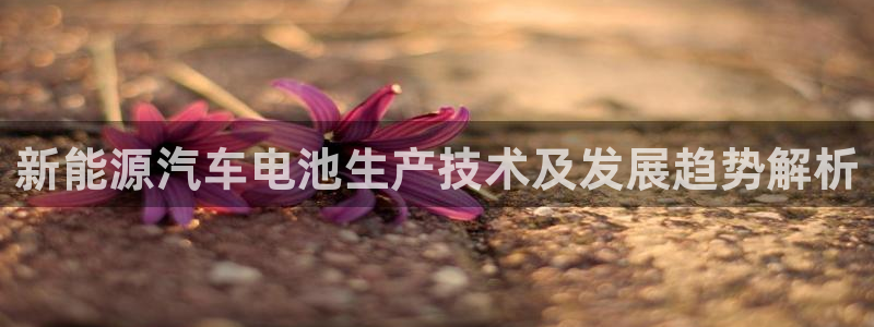 优发国际手机客户端下载安装不了