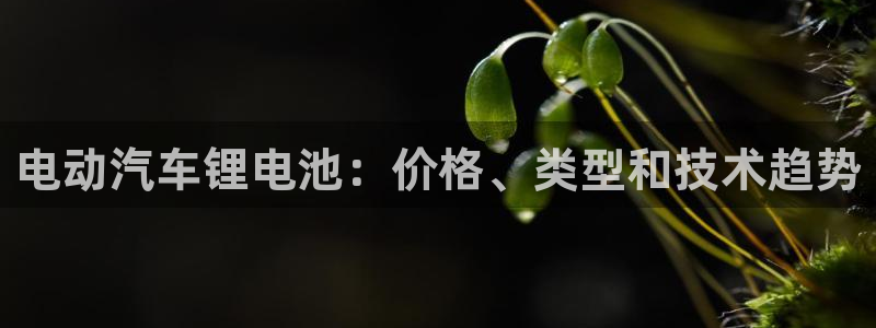优发国际官网值是多少