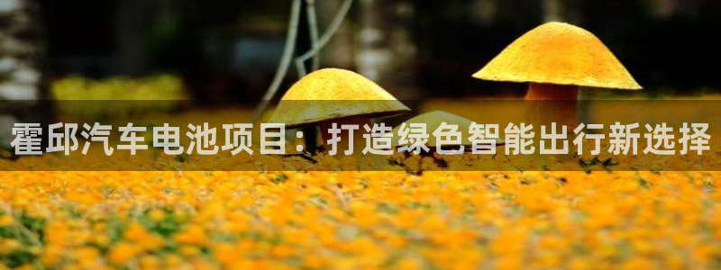 优发国际客服联系方式是什么