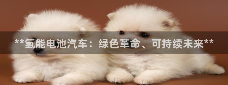 优发国际提现不了