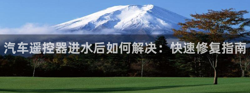 优发国际集团股份有限公司官网