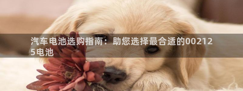 优发国际手机版官网