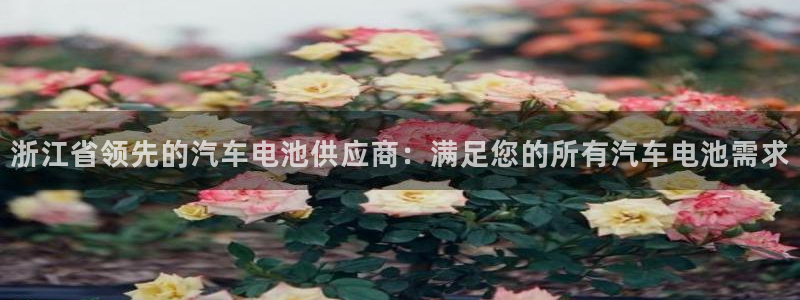 优发国际官网入口app下载安装