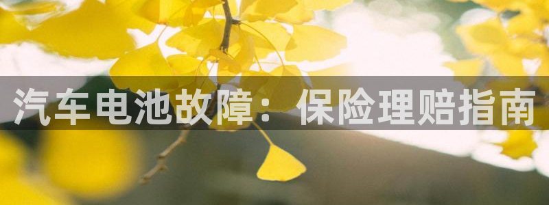 优发国际合并到哪里了
