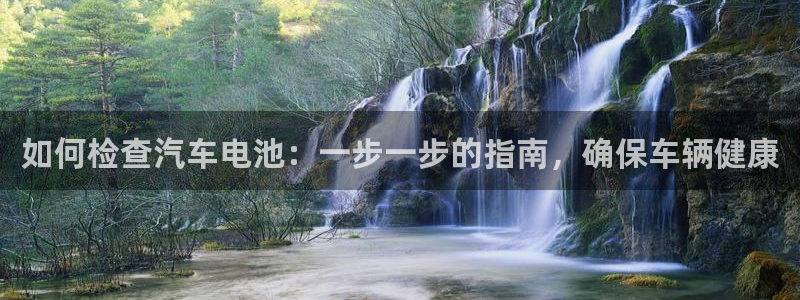 优发国际多少钱