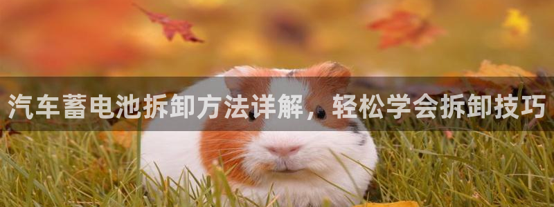 优发国际最新网站下载