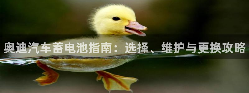 优发国际软件下载官网