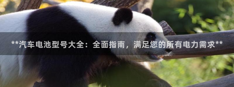 优发国际平台APP