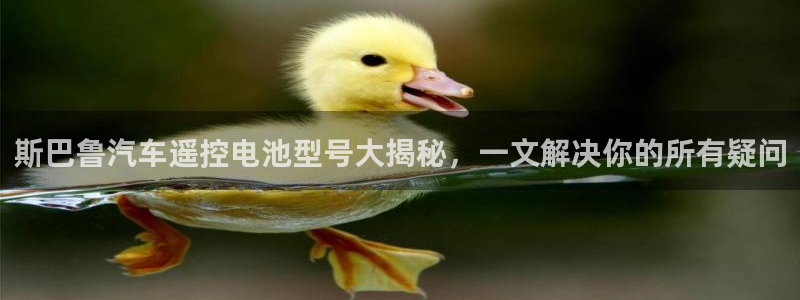 优发国际官网手机版入口