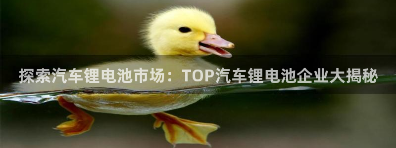 优发国际手机版下载安装