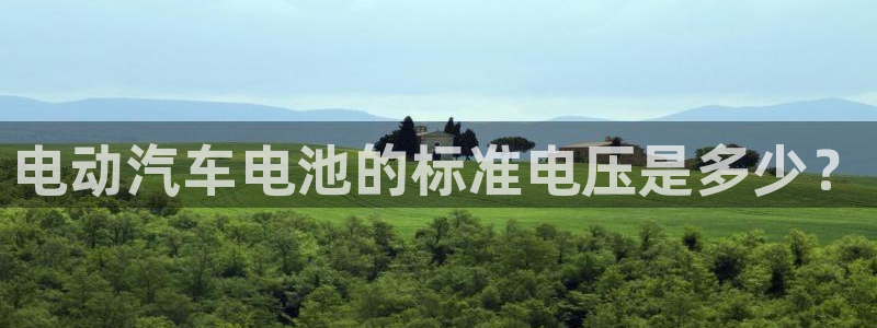 优发国际平台手机版下载官网