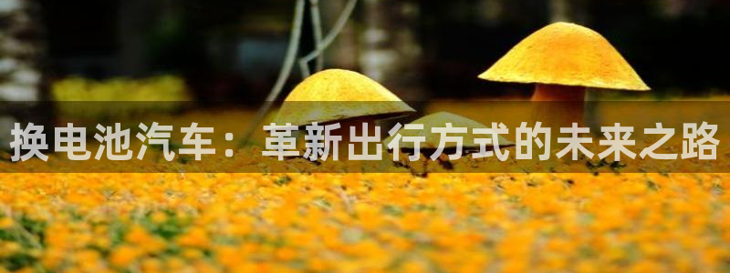 优发国际游戏