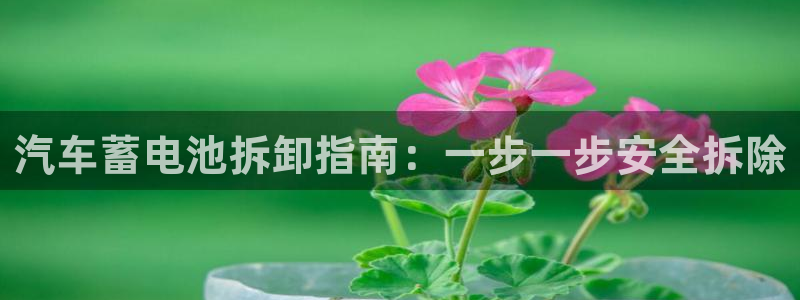 优发国际app官网下载安装手机版