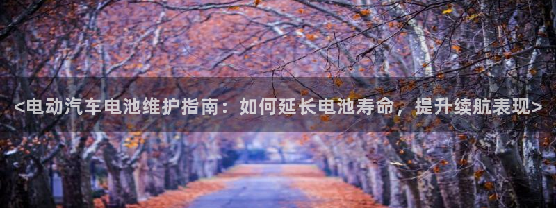 优发国际平台g80