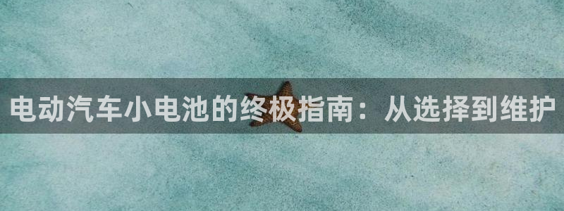 优发国际安卓版下载安装教程